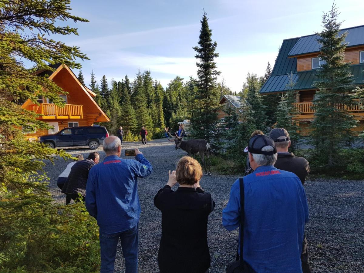 Salmon Catcher Lodge Kenai Exterior foto